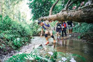 BIB: 
                            <button type="button" onclick="openModal(25477384)" class="btn btn-primary btn-sm float-right btn-popup" data-toggle="modal" data-target=".modal-high-quality">
                        <i class="fas fa-shopping-cart"></i> Add to Cart
                    </button>
                                            <button type="button" onclick="isThisMe(25477384, true)" class="btn btn-success btn-sm float-right btn-popup btn-isme hidden" data-toggle="tooltip" data-placement="bottom" title="นี่คือรูปของคุณใช่ไหม คลิกที่นี่เพื่อเอาเข้าอัลบั้ม">
                        <i class="fas fa-plus"></i> Add to album
                    </button>
                    <button type="button" onclick="isThisMe(25477384, false)" class="btn btn-warning btn-sm float-right btn-popup btn-isnotme hidden">
                        <i class="fas fa-ban"></i> Remove from album
                    </button>